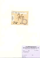 藏品(Ceramium papenfussianum Simons)的圖片